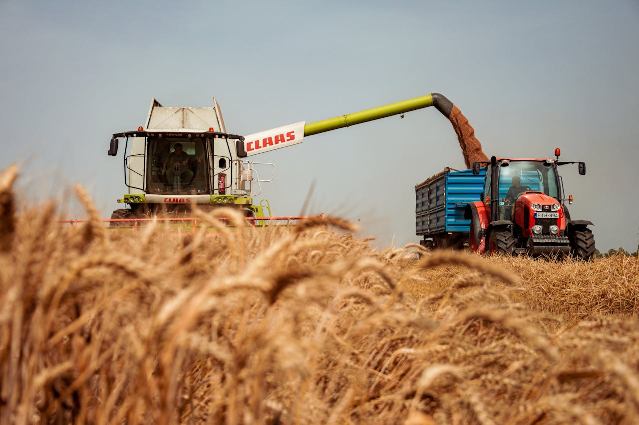 services-02 A tractor and harvester working together in a golden wheat field during harvest season.